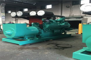 禹州出租小型發(fā)電機(jī)安裝施工服務(wù)